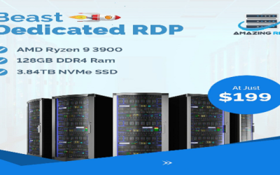 Beast Dedicated RDP: The argument for using RDP for all business purposes