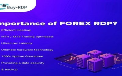 How Forex RDP Can Help You Make More Money