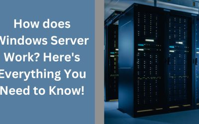 How does Windows Server Work? Here’s Everything You Need to Know!