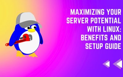 Maximizing Your Server Potential with Linux: Benefits and Setup Guide